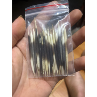 1 túi lông nhím mini dùng đuổi chuột oto