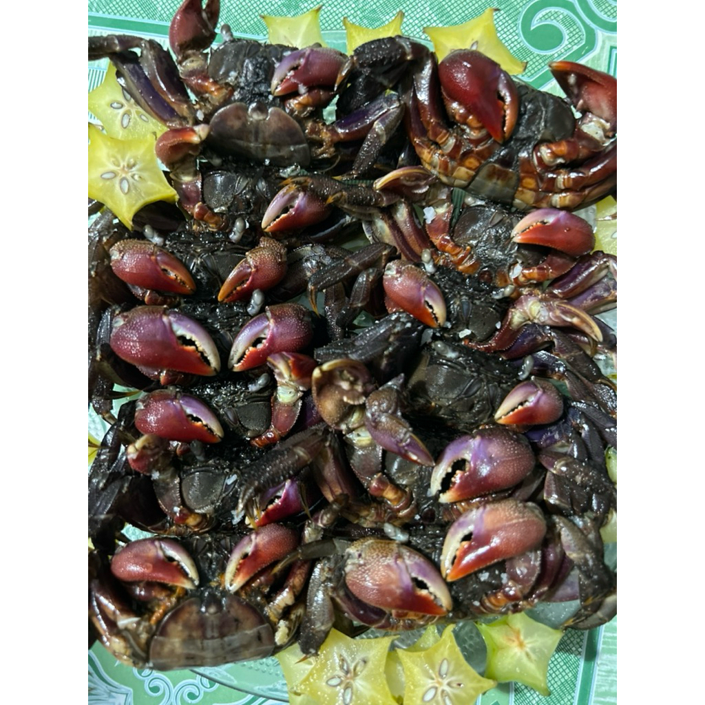 Ba khía con to size cồ ( trọng lượng hủ 1kg ,500gr ba khía 500 nước muối )