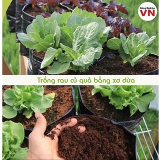 Comboo 5 Viên nén xơ dừa 500gam