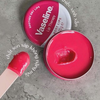  Dưỡng môi Vaseline Hộp thiếc có màu Lip Therapy 20g UK - Mya Shop 