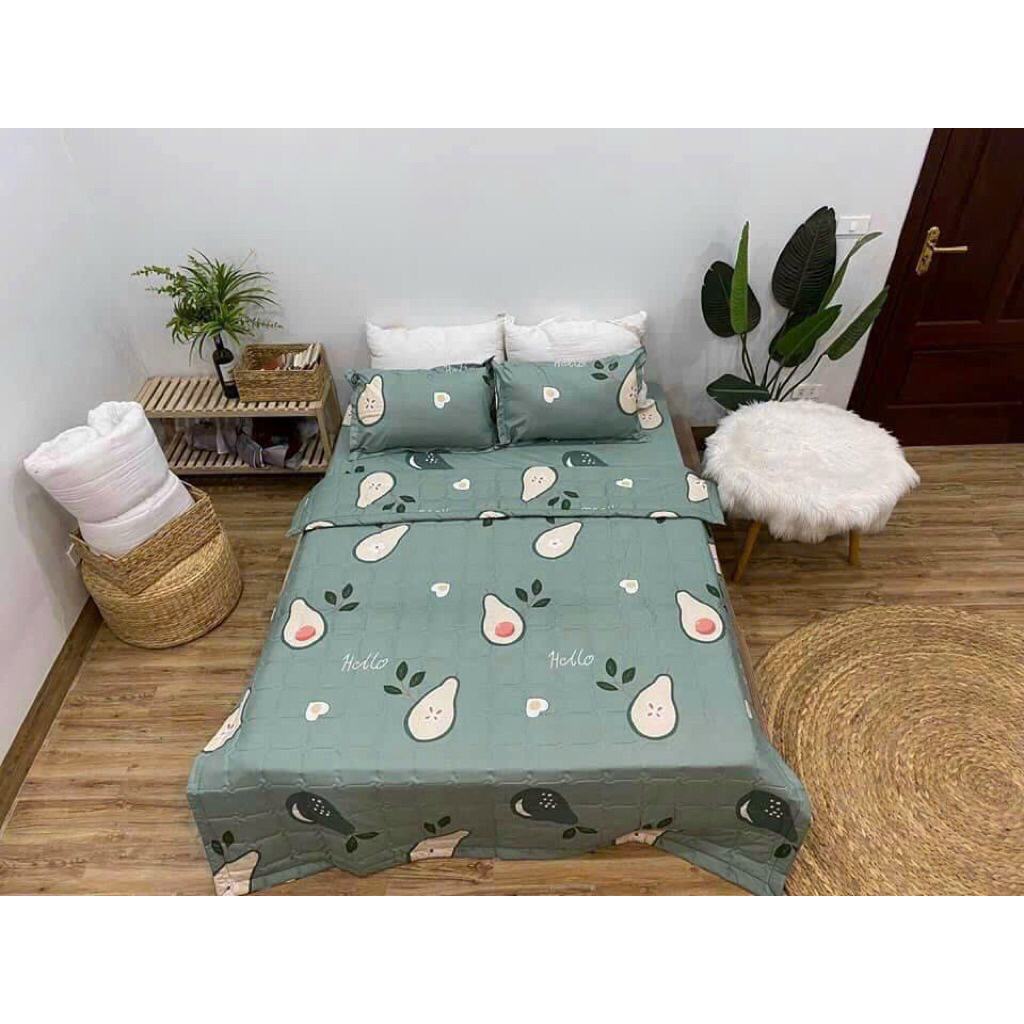 Ga trải giường cotton poly bọc đệm 1m6x2m, mẫu bơ xanh