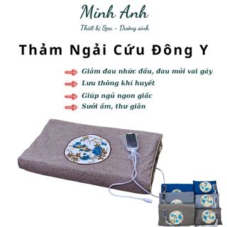 Thảm Ngải Cứu Điện, Gối Sưởi Ngải Cứu Đông Y Nội Địa Trung Hỗ Trợ Đau Vai Gáy, Lưng, Xương Khớp