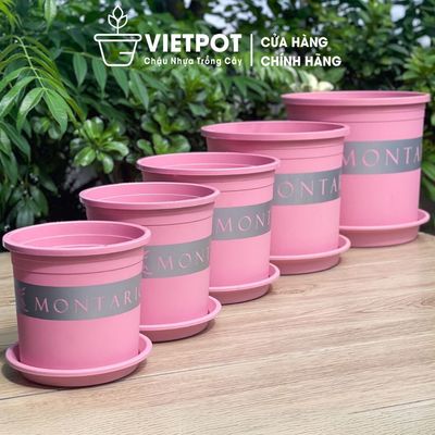 Chậu nhựa trồng cây VIETPOT, màu hồng Montario, trồng hoa kiểng, để bàn, ban công, sân vườn.