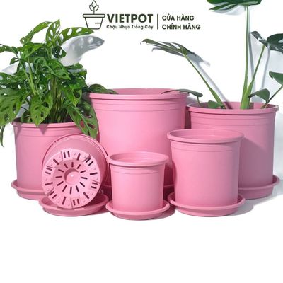 Chậu nhựa trồng cây VIETPOT, màu hồng Trơn, trồng hoa, kiểng lá, để nhà, sân vườn, ban công.