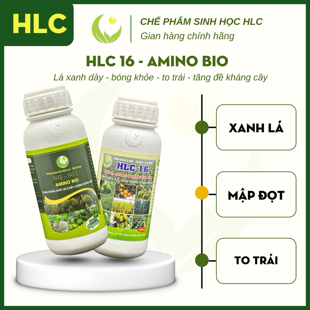 Bộ đôi Chai 500ml PHÂN BÓN HLC 16 và AMINO bật chồi vọt đọt mập cơi xanh dày lá