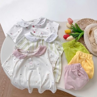  Set bộ cộc tay cổ sen bé gái 1-6 tuổi Miniumbaby chất cotton mềm co giãn bé đi học đi chơi SB2441 