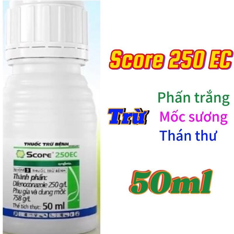 SẢN PHẨM HỖ TRỢ SCORE 250EC – ĐẶC TRỊ HIỆU QUẢ NẤM TRÊN CÂY TRỒNG