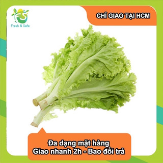 [Giao Hỏa Tốc HCM] Xà Lách Lolo Xanh - 300G