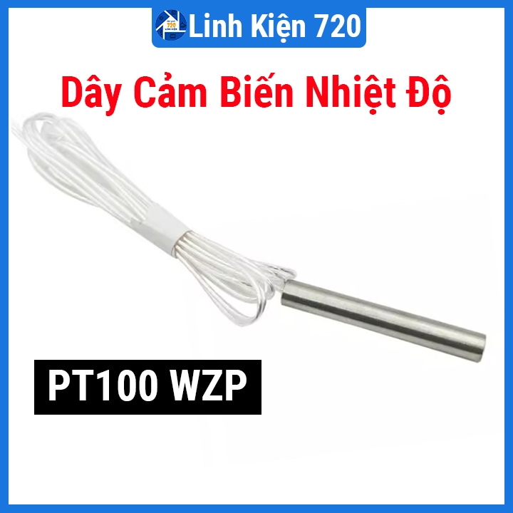 Dây Cảm Biến Nhiệt Độ PT100 WZP