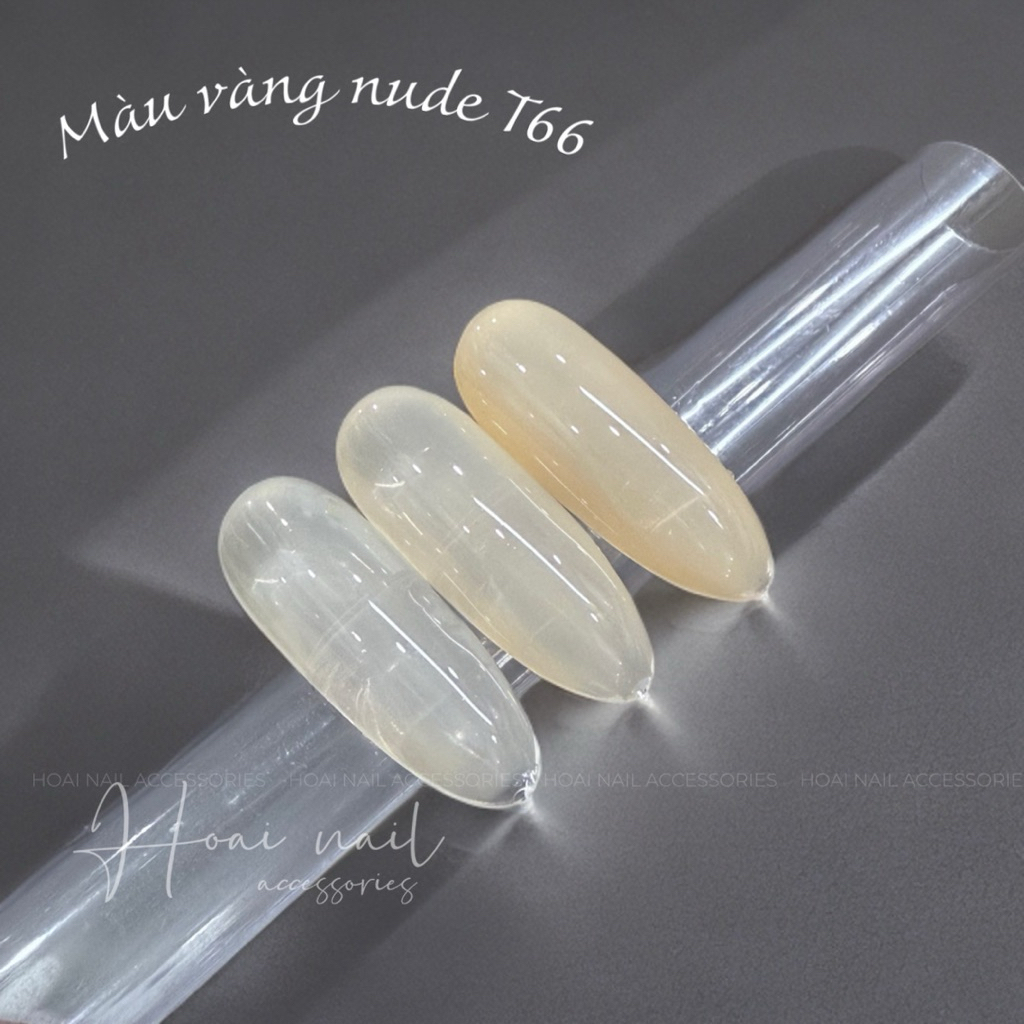 Sơn gel hot màu T66 xeijayi -15ml
