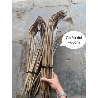 Cần câu cắm ếch cột sẵn (combo 50 cần)