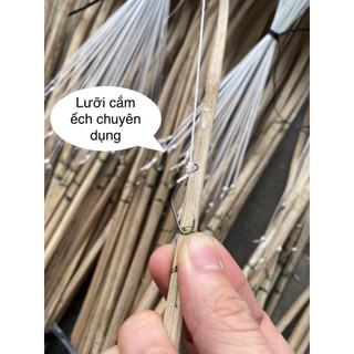 Cần câu cắm ếch cột sẵn (combo 50 cần)
