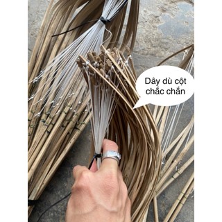 Cần câu cắm ếch cột sẵn (combo 50 cần)