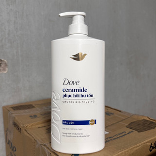  Dầu gội Dove Ceramide Phục Hồi Hư Tổn 880g 