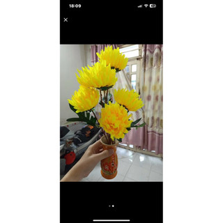 cành cúc vạn thọ 3 bông hàng đẹp.