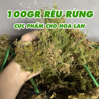Rêu rừng trồng lan đã qua xử lý khô đóng gói 100g