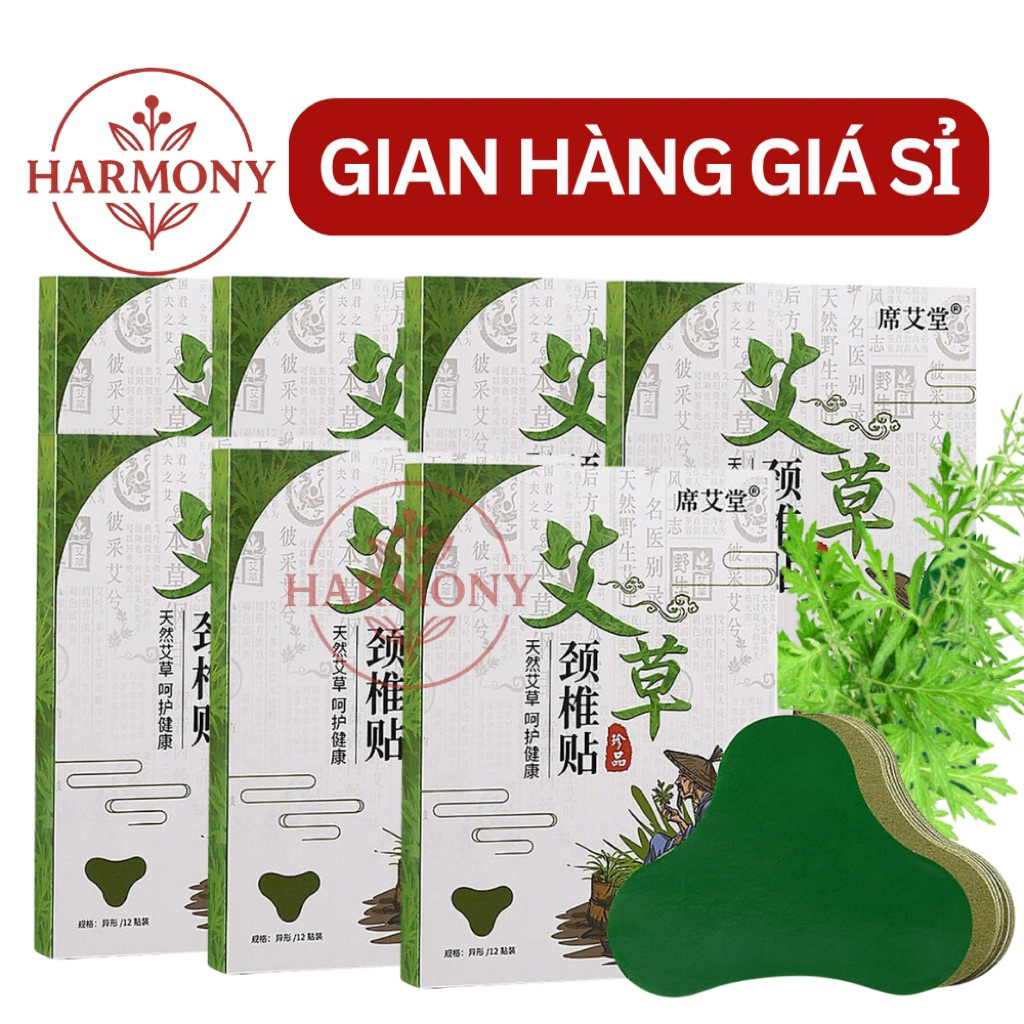 Combo Cao Dán Ngải Cứu Giảm Đau Xương Khớp, Giảm Nhức Mỏi Cổ Vai Gáy Lưng Đầu…