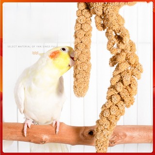  Kê Chùm Nguyên Nhánh 200g – 1kg | Thức Ăn Bổ Dưỡng Cho Vẹt Yến Phụng Finch Hamster 