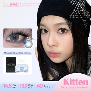 Lens giãn tròng DABAE mắt màu xám xanh kính áp tròng 3 tháng DIA 14.5mm độ 0-8 1 chiếc KITTEN GRAY