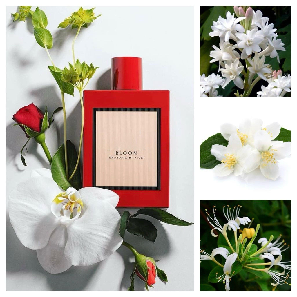 Nước Hoa Gucci Bloom Ambrosia Di Fiori Eau De Parfum