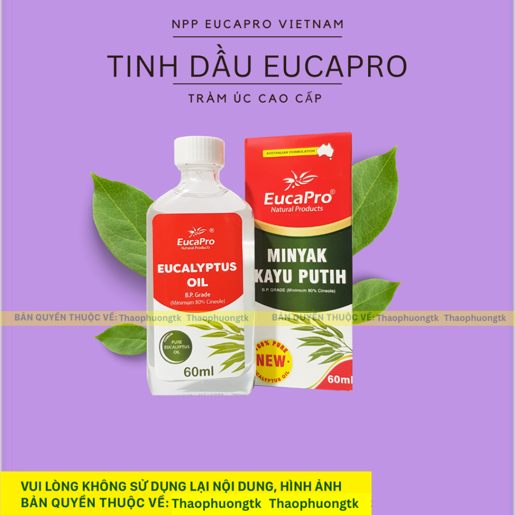 Tinh dầu khuynh diệp Eucapro 60 ml - EUCAPRO EUCALYPTUS OIL 60ML (eukybear)