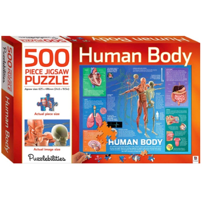 Human Body 500-piece Jigsaw Puzzle