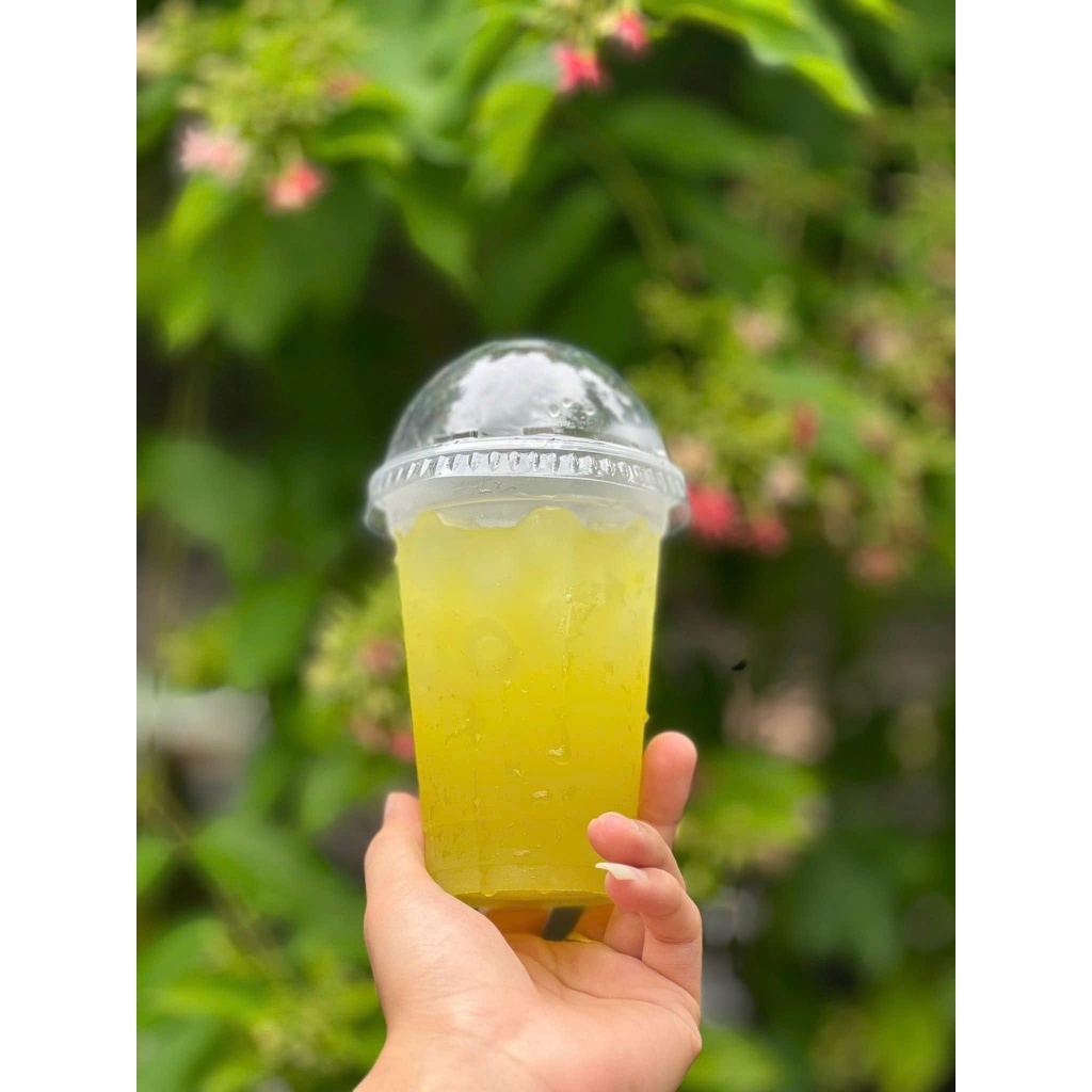 Nước Mía Mamut (1,5Lít/ 10 cốt)- Trái Cây Đông Lạnh Mamut- Giữ trọn vị tươi ngon - Ảnh 3