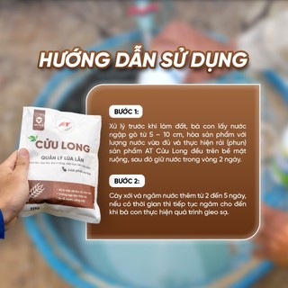 Cửu Long Gold – Xử lý lúa lộn, lúa cỏ, lúa ma, chống xì phèn, chết cây con