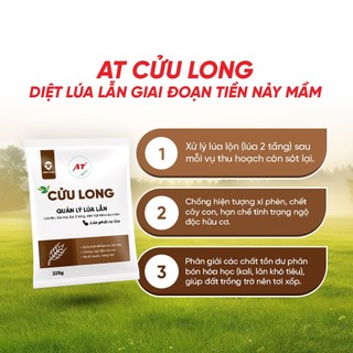 Cửu Long Gold – Xử lý lúa lộn, lúa cỏ, lúa ma, chống xì phèn, chết cây con