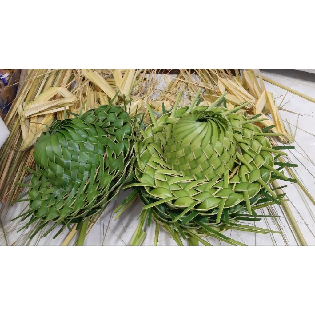 Combo 4 nón lá dừa tươi