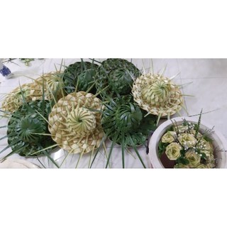 Combo 4 nón lá dừa tươi