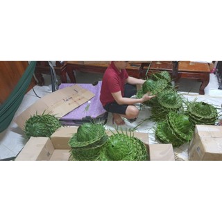 Combo 4 nón lá dừa tươi