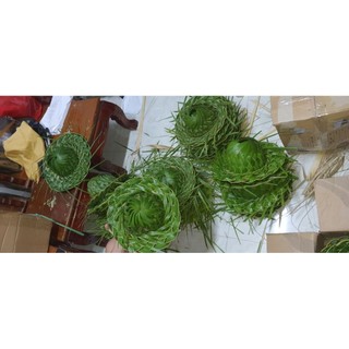 Combo 4 nón lá dừa tươi