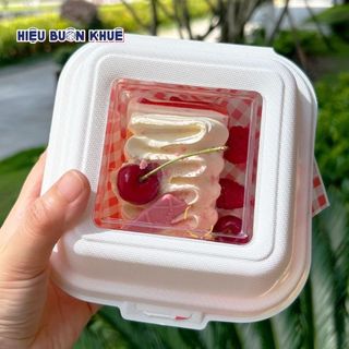  50 Hộp Bã Mía Đựng Bánh Bento Gato Bánh Ngọt Tiramisu Thực Phẩm Đồ Ăn - Nắp Kính 