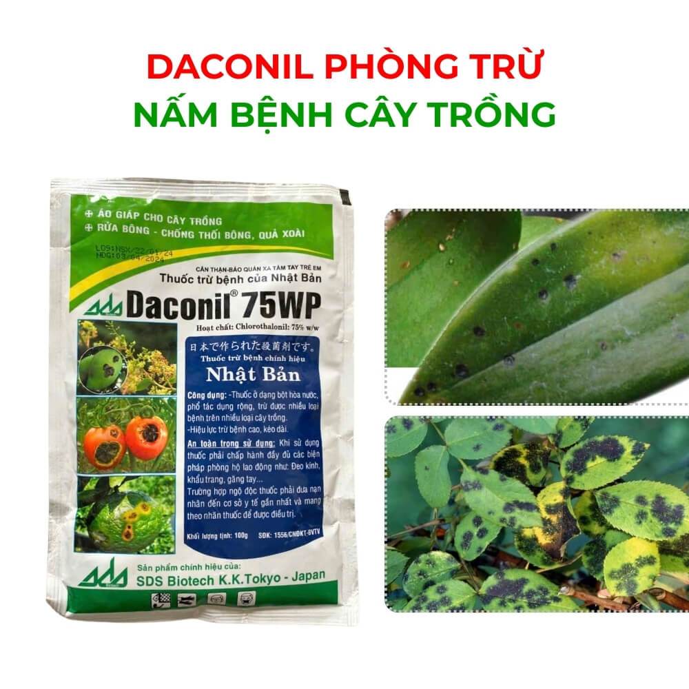 Daconil 75WP Trừ Nấm Bệnh Trên Cây Trồng Của Nhật Bản - 100 Gram