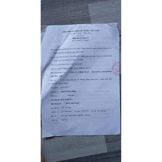 Chấm tàn nhang yody phương anh