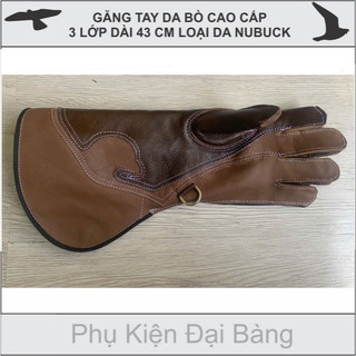 Phụ kiện nuôi chim đại bàng, dụng cụ nuôi chim đại bàng