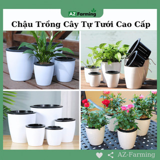  Chậu Nhựa Trồng Cây Tự Tưới Giữ Ẩm Đất Thông Minh - AZ Farming 