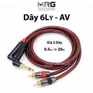  Dây 6 Ly Cong Ra AV Hoa Sen dài 0.5m-1m-2m-3m-5m-8m-10m giá 1 cặp  2 dây . DJ2-6AV 