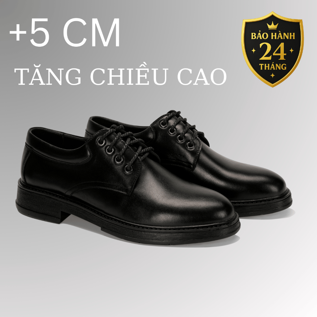 Giày tây nam da bò cao cấp LuxWear giày Derby tăng chiều cao bảo hành 24 tháng GTD01