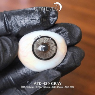 [6M] Lens Kính áp tròng 439 Gray JOLLY STORE lens mắt mèo kim cương viền đen giãn vừa 14.2mm LUNA EYES