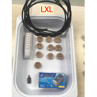 Bộ thùng trồng rau thủy canh + bơm oxy