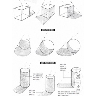 Sổ Vẽ phác thảo Tĩnh Vật cơ bản