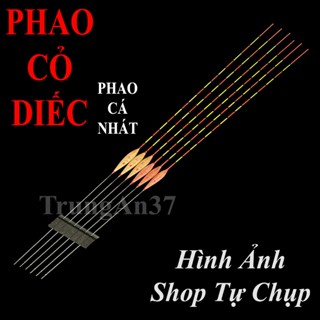 Phao cỏ cá diếc F010 và A01 chuyên cá nhát - tăm nhỏ siêu nhẹ - phao cỏ câu đài