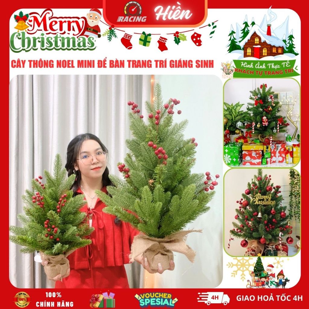  Cây Thông Noel Mini Để Bàn Lá Pe Mix Lá Thường Gắn Trái Đỏ 45Cm 60Cm Trang Trí Giáng Sinh Christmas 