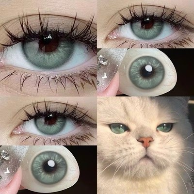 [6 tháng] Lens mắt 839 Green màu xanh tia mắt mèo có viền nổi bật, size vừa - thương hiệu LUNA EYES