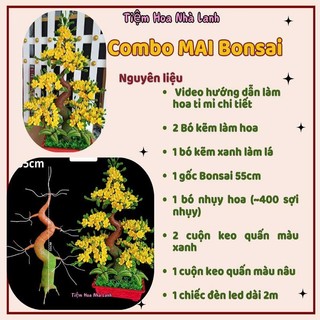   Kèm gốc cao 55cm  Combo nguyên liệu làm cây Mai bonsai từ kẽm nhung 
