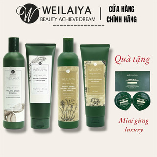   Tặng mini  Cặp dầu gội xả Weilaiya gừng ngừa gàu ngăn rụng và kích thích mọc tóc chính hãng 