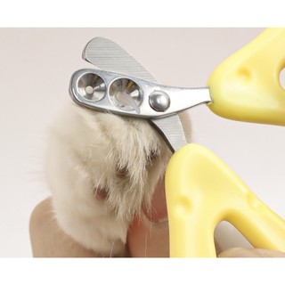 Kiềm cắt móng dành cho thỏ, bọ, chó mèo con - T3 PETS SHOP