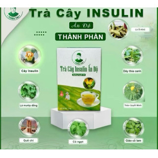 CHÍNH HÃNG TRÀ CÂY INSULIN ẤN ĐỘ MUA 5 TẶNG 2